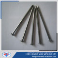 common nail low carbon steel iron nail factory Q195